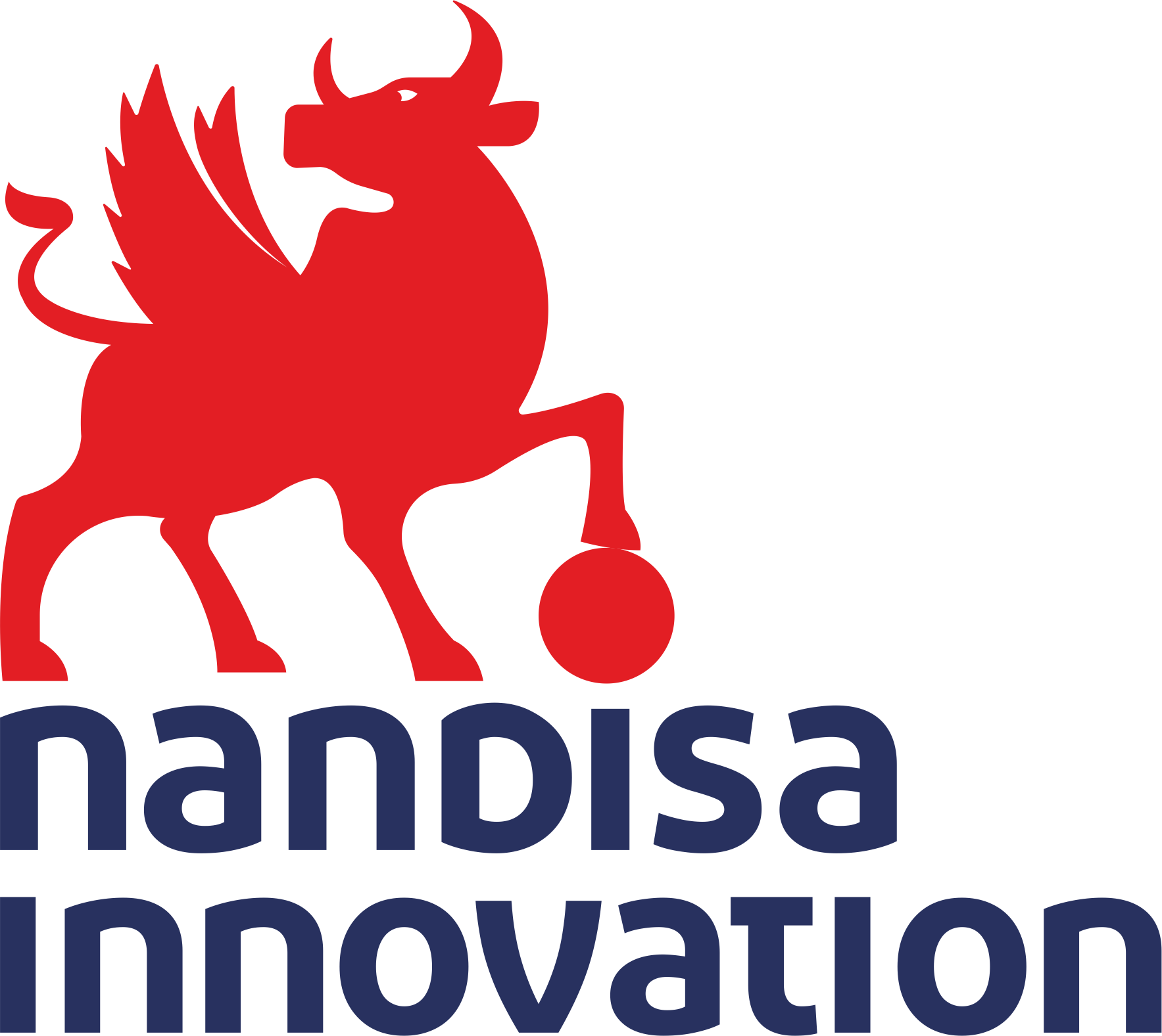 NandisaInnovation